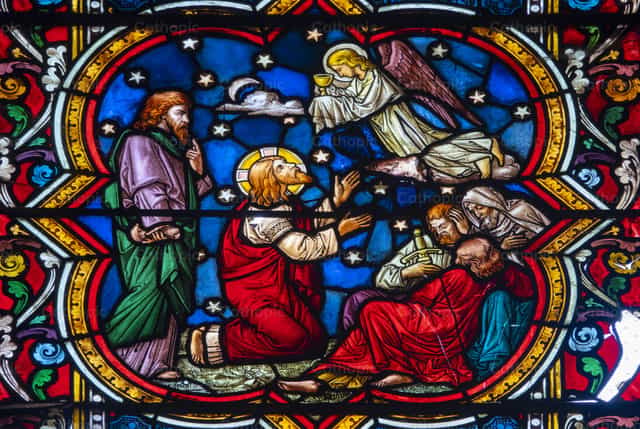 Jesús en el huerto de Getsemaní - Banco de imágenes católicas - Fotografía por Joan Sutter