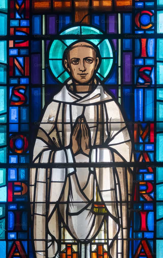 San Bruno - Mga Catholic stock image - Larawan ni Joan Sutter