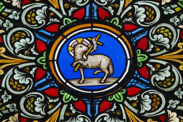 Agnus Dei or Lamb of God - Catholic stock images - Photo by Joan Sutter