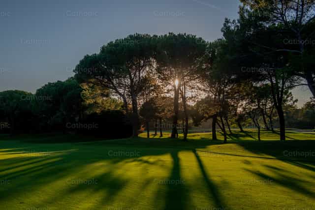 Arboles en el atardecer - Banco de imágenes católicas - Fotografía por Pierluigi Palazzi