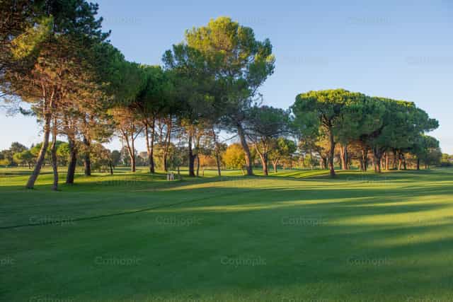 Lignano Sabbiadoro golf course - Banco de imágenes católicas - Fotografía por Pierluigi Palazzi
