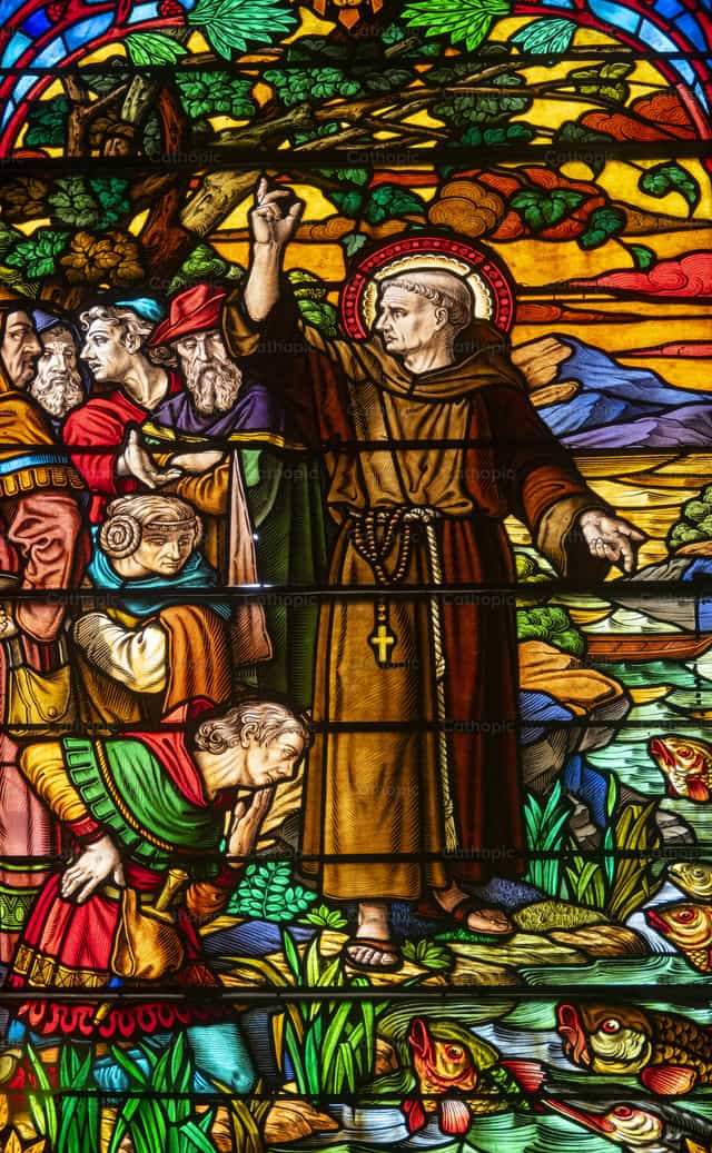 Francis of Assisi preaching to birds and fish - Catholic stock images - Photo by Joan Sutter