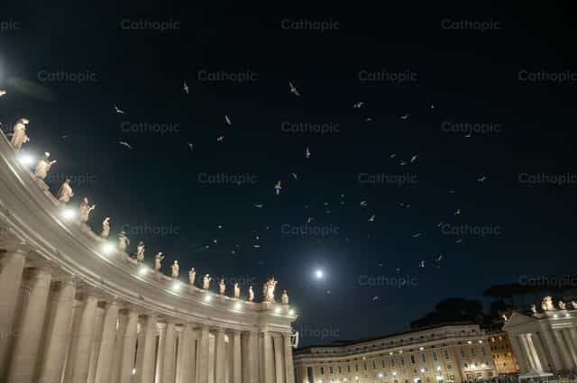 Palomas volando sobre la Plaza de San Pedro - Banco de imágenes católicas - Fotografía por Metod Perme