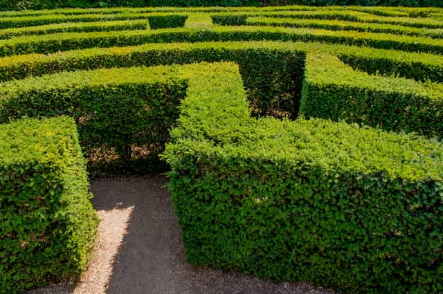 Labyrinthe - Images catholiques de stock - Photo de Pierluigi Palazzi