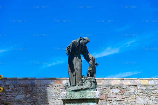 Estatua de San Francisco de Asís - Banco de imágenes católicas - Fotografía por Miguel White