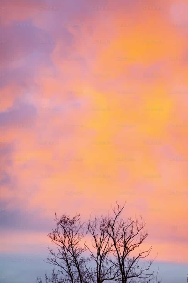 Bare tree branches silhouetted against glowing sunset sky - Banco de imágenes católicas - Fotografía por Antonio Gravante