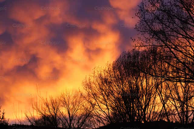 Árboles desnudos recortados contra las espectaculares nubes naranjas del atardecer. - Banco de imágenes católicas - Fotografía por Antonio Gravante