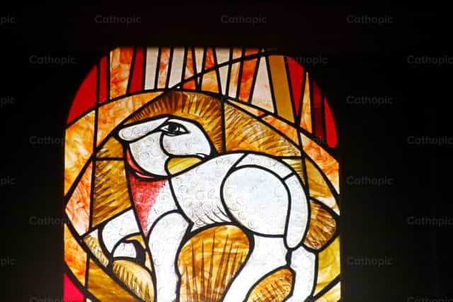 Lamb of God stained glass window - Catholic stock images - Photo by Cristina Grigore