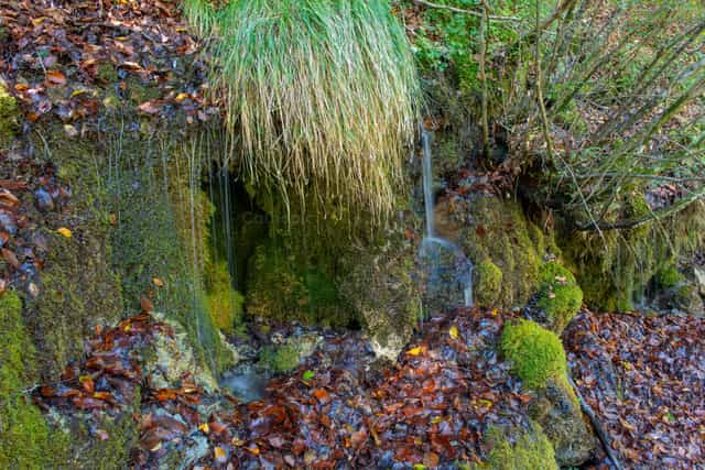 Stream of water in autumn - Catholic stock images - Photo by Pierluigi Palazzi