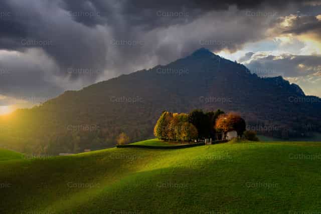Colina con árboles - Banco de imágenes católicas - Fotografía por Pierluigi Palazzi