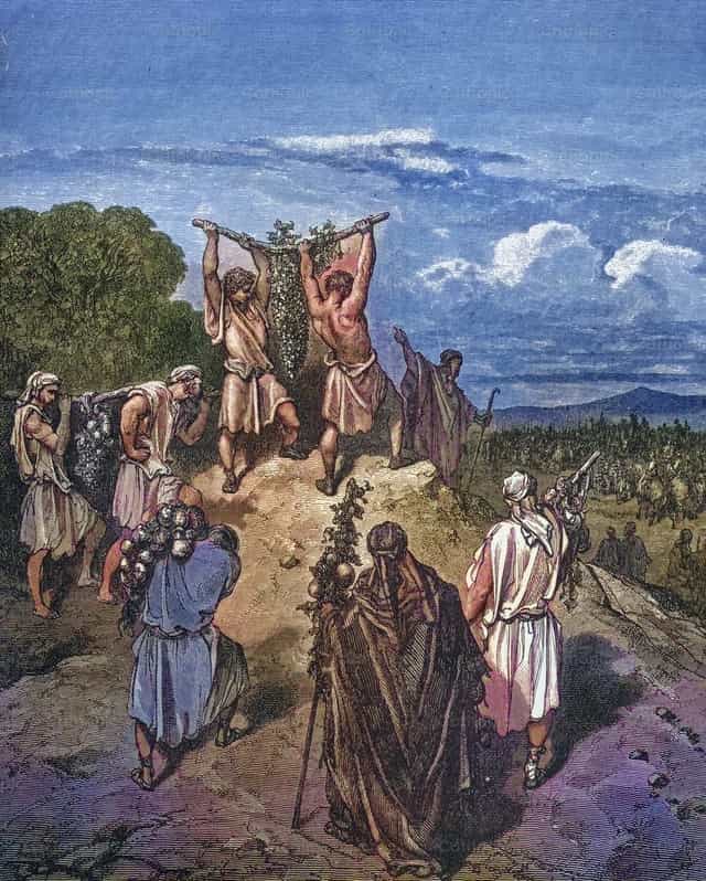 迦南的探子归来 - 天主教图库图片 - 摄影： Bible and Art