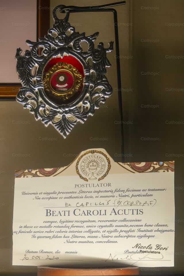 Reliquia del beato Carlo Acutis, santo moderno - Banco de imágenes católicas - Fotografía por Joan Sutter