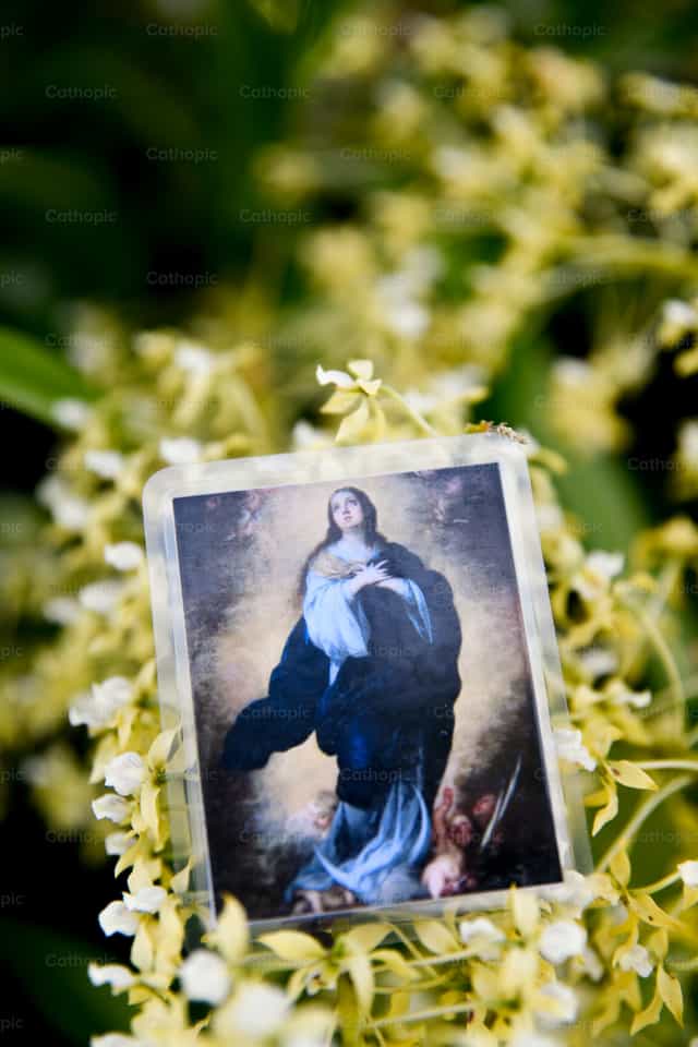 Print of the Immaculate Conception - Catholic stock images