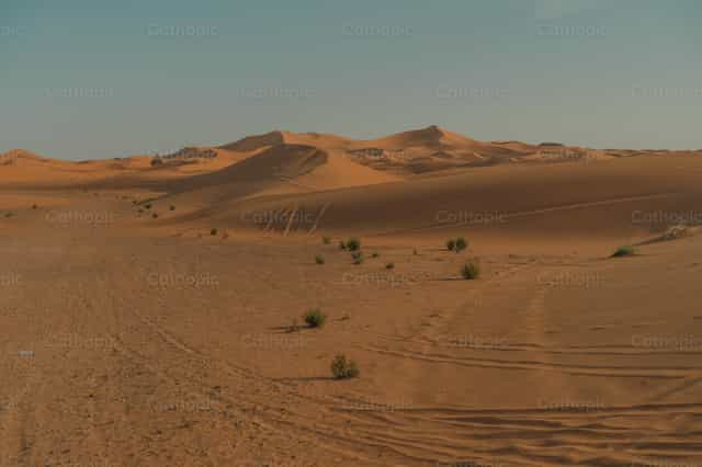 Desierto - Banco de imágenes católicas