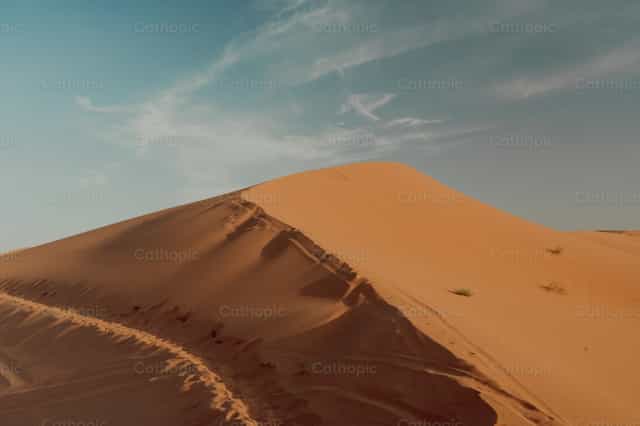 Desert dune - Mga Catholic stock image