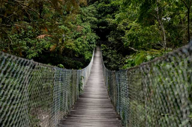 Puente colgante - Banco de imágenes católicas - Fotografía por Carolina BR