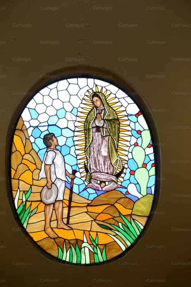 Vitral de la Virgen de Guadalupe - Banco de imágenes católicas - Fotografía por Lizardi Saucedo
