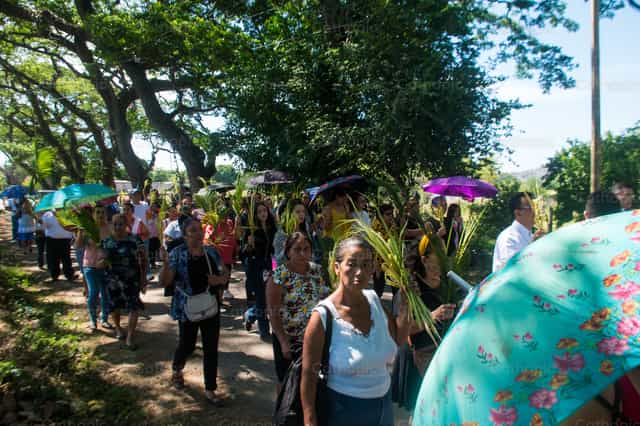 Domingo de ramos por las calles - Banco de imágenes católicas