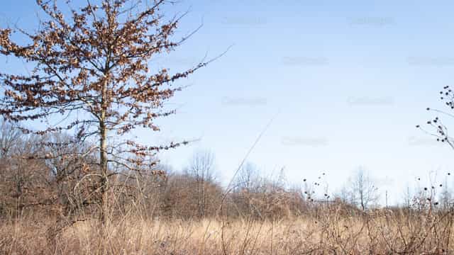 Onvruchtbaar veld - Katholieke stockfoto's