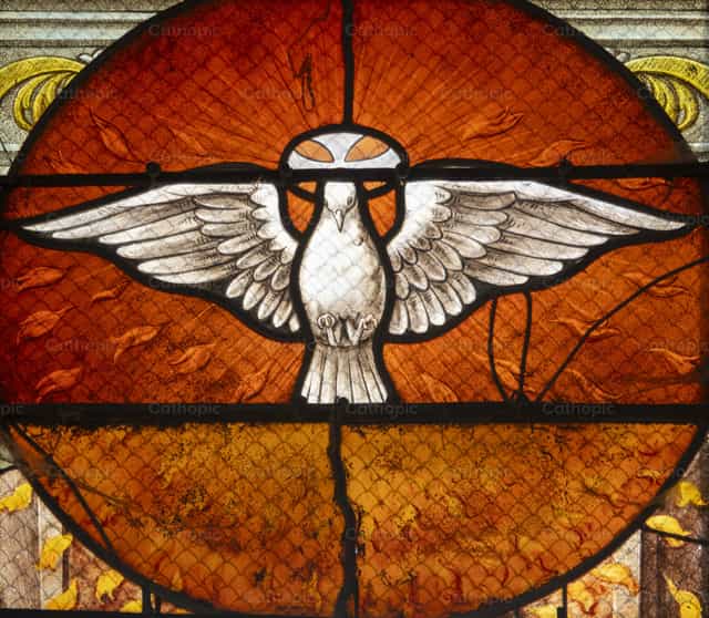 Espírito Santo em forma de pomba - Imagens católicas de stock