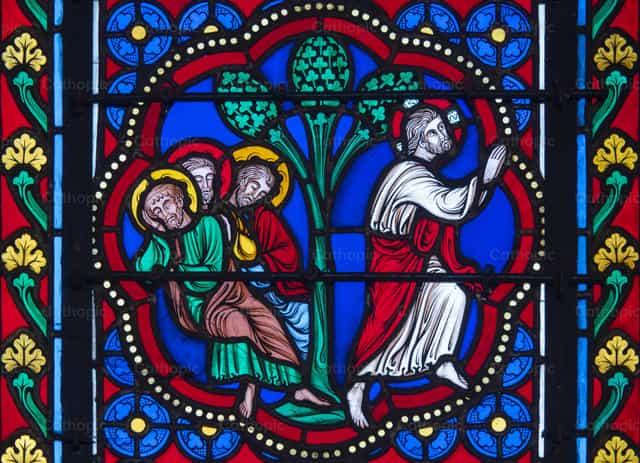 Jesus in the Garden of Gethsemane - Catholic stock images - Photo by Joan Sutter