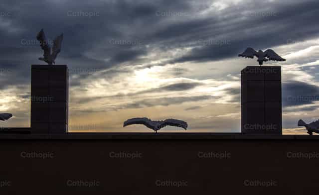 Alas de águila - Banco de imágenes católicas - Fotografía por Cristian Gutiérrez, LC