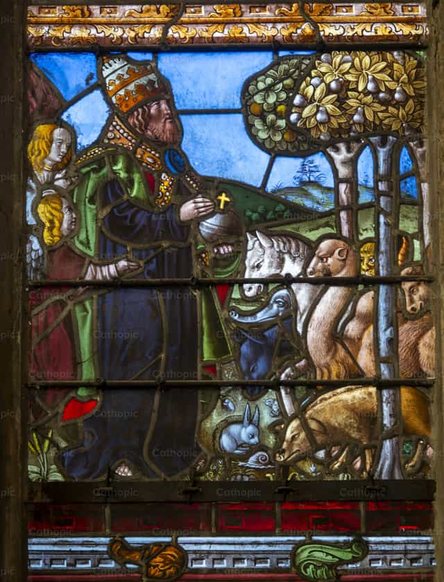Creación de los animales por Dios - Banco de imágenes católicas - Fotografía por Joan Sutter