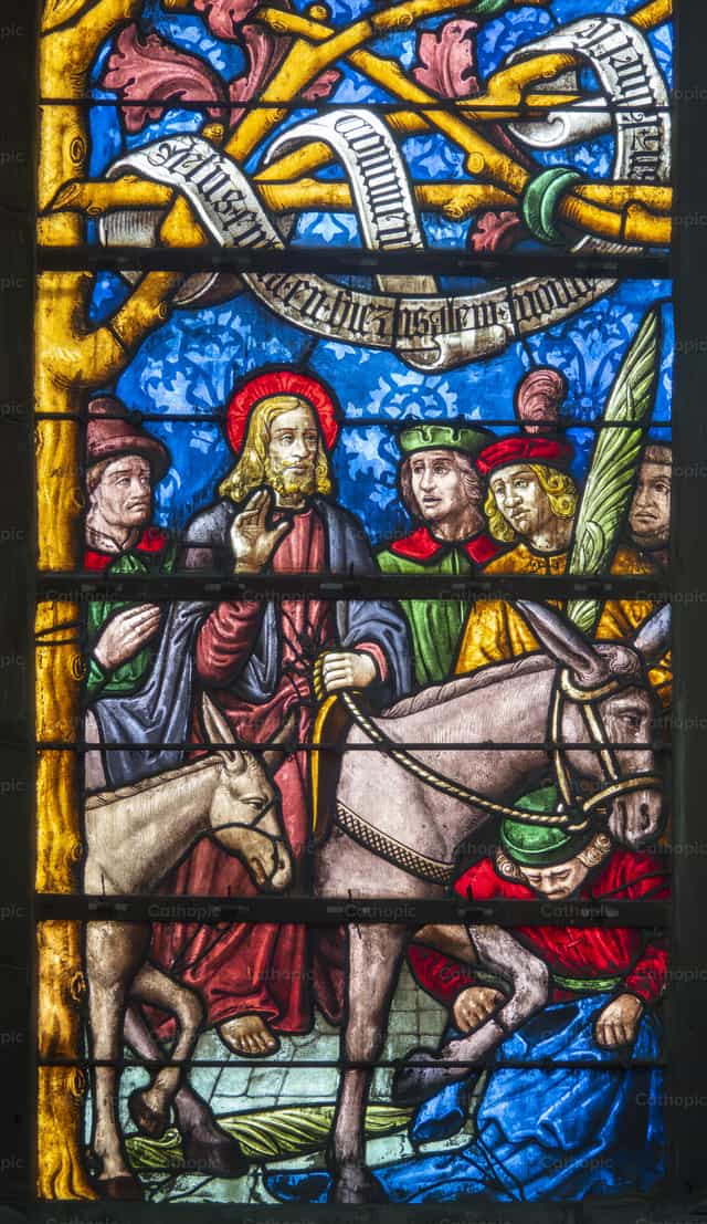 Palm Sunday - Catholic stock images - Photo by Joan Sutter