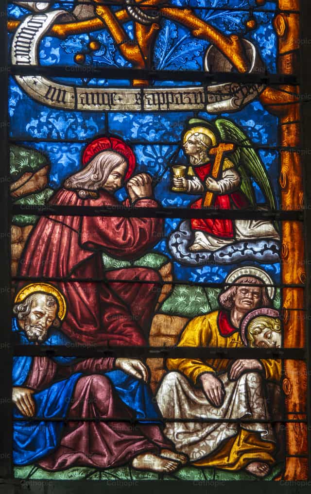 Jesús en el Huerto de Getsemaní - Banco de imágenes católicas - Fotografía por Joan Sutter