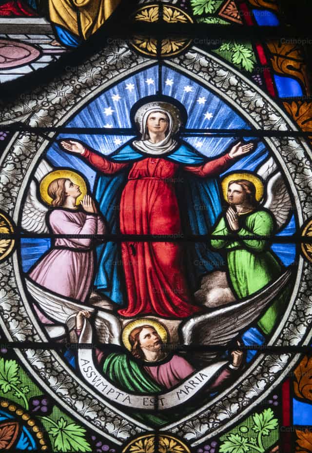 Assunção de Maria - Imagens católicas de stock - Foto de Joan Sutter
