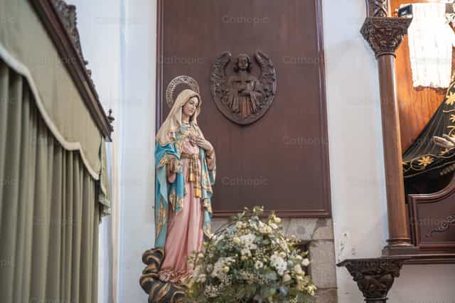 Inmaculado Corazón de María - Banco de imágenes católicas - Fotografía por Yandry Fernández Perdomo