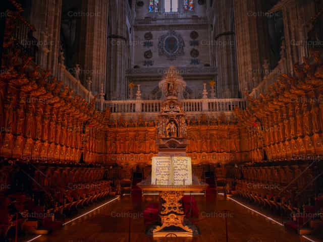 Coro Catedral de Salamanca - Banco de imágenes católicas - Fotografía por Fr. Sebastian Munoz