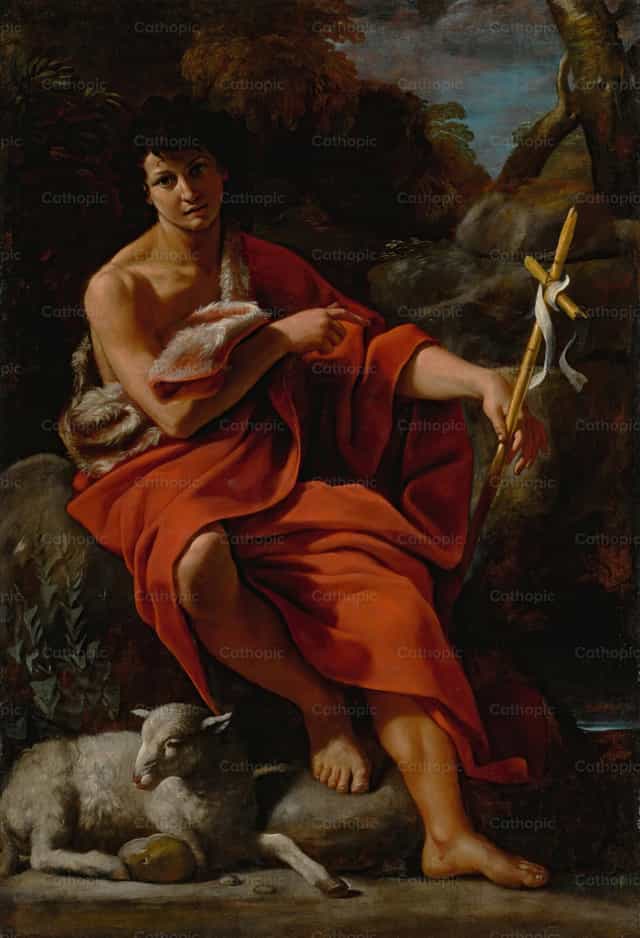 Saint John the Baptist in the wildernes - Catholic stock images