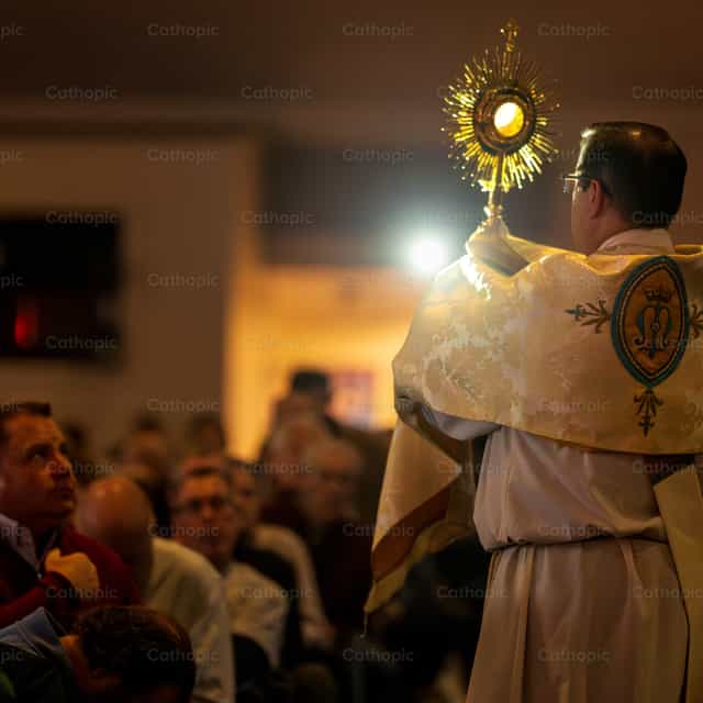 Anbetung mit Gemeindemitgliedern - Katholische Stockfotos - Foto von Personally Catholic
