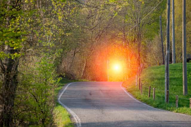 Camino que va hacia el sol - Banco de imágenes católicas - Fotografía por Pierluigi Palazzi