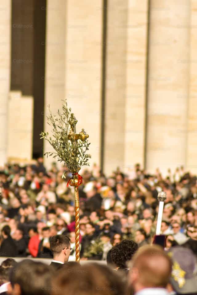 Palm Sunday Vatican - Catholic stock images - Photo by Samuel Rufini