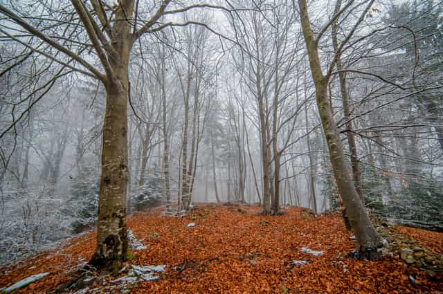 Spiritualität in der Natur suchen - Katholische Stockfotos