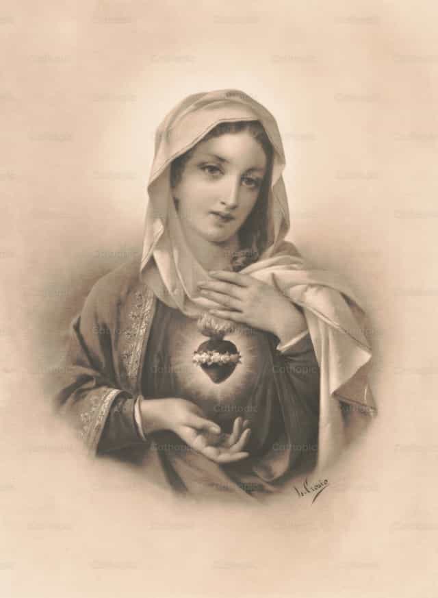 Coração de Maria - Imagens católicas de stock - Foto de Restored Christian Art