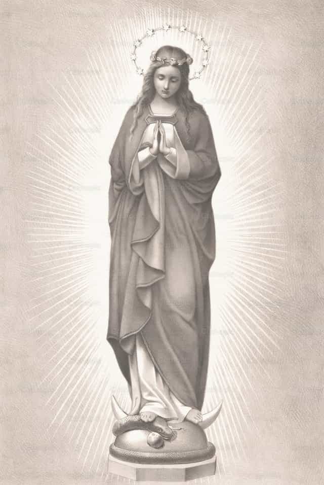 Ang Immaculate Conception - Mga Catholic stock image