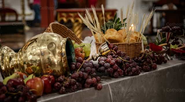 Mesa eucarística con pan y vino - Banco de imágenes católicas - Fotografía por Carolina BR