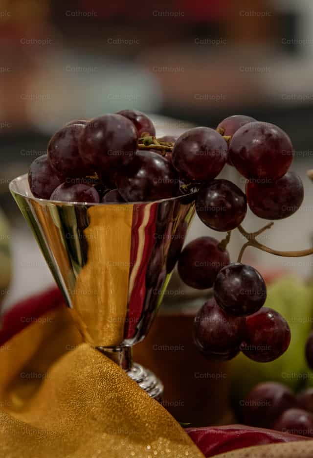 Cáliz con uvas, símbolo del vino - Banco de imágenes católicas - Fotografía por Carolina BR