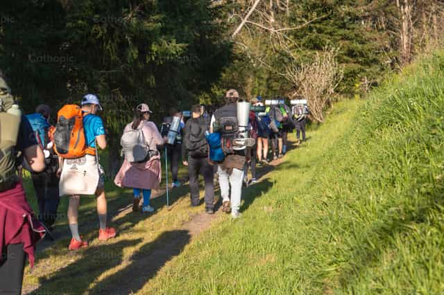 Pellegrini che camminano lungo il Cammino di Santiago. - Immagini stock cattoliche - Foto di Yandry Fernández Perdomo