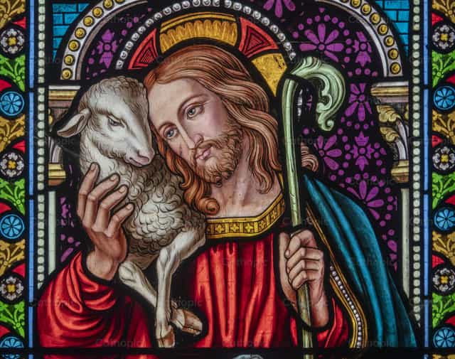 Jesús, el Buen Pastor - Banco de imágenes católicas - Fotografía por Joan Sutter