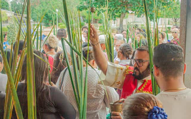 Palmsonntag - Katholische Stockfotos