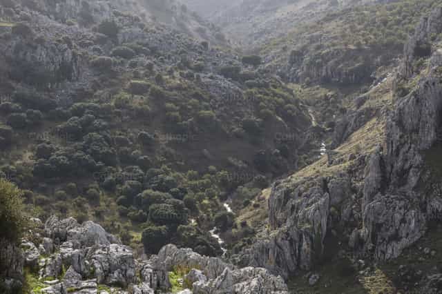 Naturaleza y Espiritualidad - Banco de imágenes católicas - Fotografía por Diócesis de Córdoba