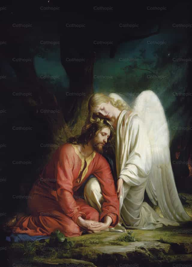 Christus in Getsemane - Katholieke stockfoto's
