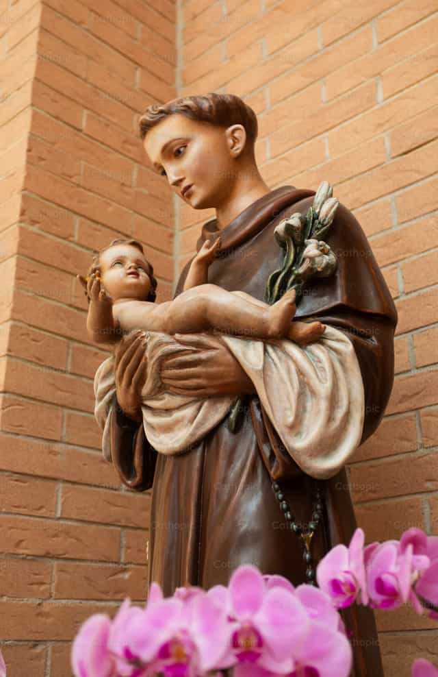 Statue de saint Antoine tenant l’Enfant Jésus avec des orchidées - Images catholiques de stock