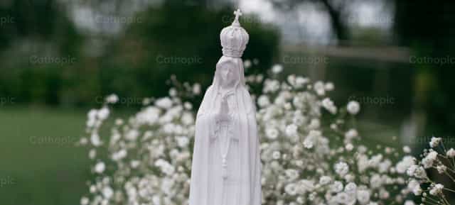 Virgen de Fátima rodeada de flores - Banco de imágenes católicas - Fotografía por Carolina BR