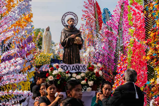 San Francisco, caballero de la Inmaculada - Banco de imágenes católicas