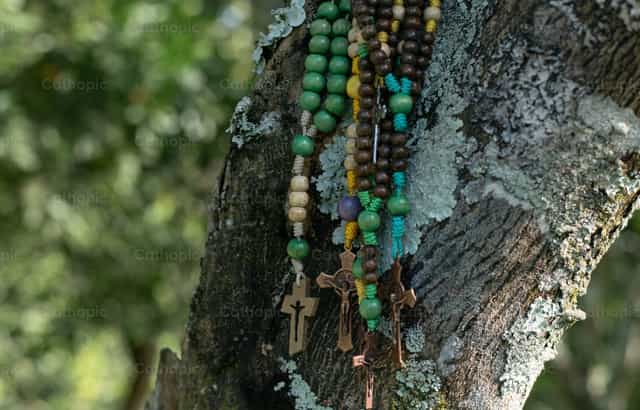 Rosarios católicos colgados en un árbol - Banco de imágenes católicas - Fotografía por Carolina BR